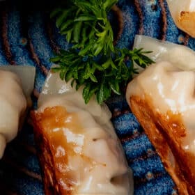 Destaque Imagem 5 Motivos para incluir gyoza