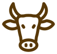 image02 17 10 2019 poqfc