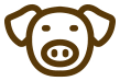 image03 17 10 2019 wqgi2