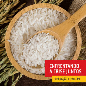 miniatura alta do arroz v2 06 10 2020 3y6nj
