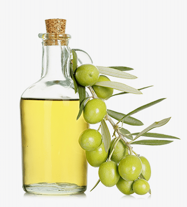 Oliva