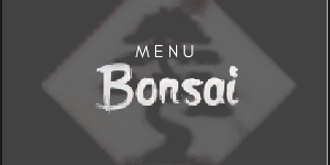 Nome:BONSAI COZINHA ORIENTAL
